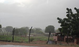 2020 tem o mês de novembro mais chuvoso da série histórica em 48 anos no Ceará