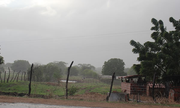 2020 tem o mês de novembro mais chuvoso da série histórica em 48 anos no Ceará