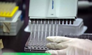 Casos de coronavírus no mundo somam mais de 55 milhões, aponta Johns Hopkins