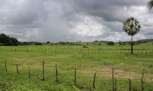 Após primeira quinzena de baixos volumes, chuvas crescem no Ceará