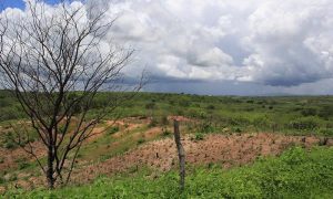 Ceará apresenta condições favoráveis à chuva a partir desta quarta-feira (30), aponta Funceme