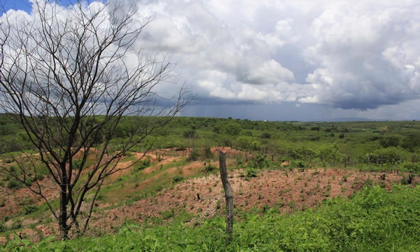 Ceará apresenta condições favoráveis à chuva a partir desta quarta-feira (30), aponta Funceme