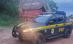 PRF apreende caminhão com carga irregular de madeira nativa na BR-222