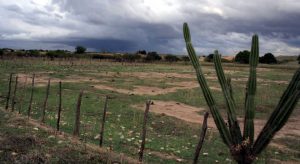 Pré-estação chuvosa no Ceará começa com pouca chuva na primeira quinzena de dezembro