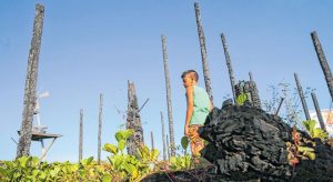 Programa de engajamento ambiental selecionará 10 mil jovens no Ceará