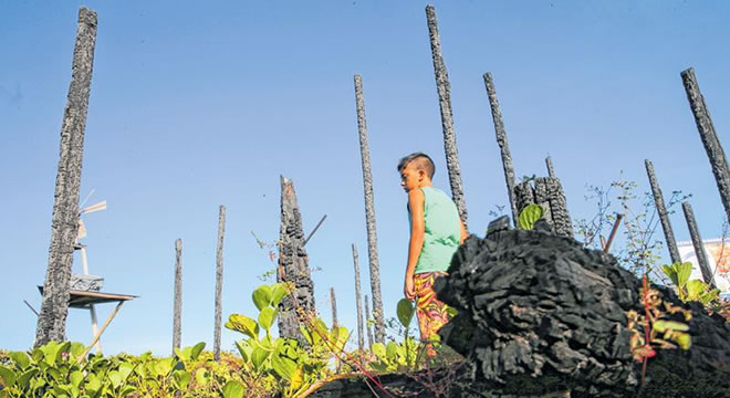 Programa de engajamento ambiental selecionará 10 mil jovens no Ceará