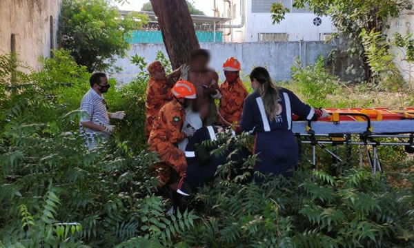 Homem fica com galho encravado nas costas após cair de árvore