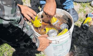 Oito cidades cearenses têm status de ' alerta' para surto de dengue, de acordo com dados da Sesa