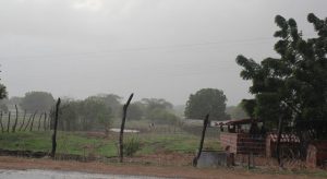 2021 começa com registro de chuva em 28 cidades no Ceará