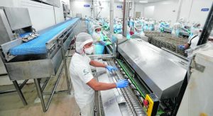 Atividade econômica do Ceará supera média nacional em novembro