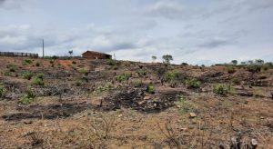 Cidades do Sertão cearense preveem agravamento da crise hídrica com possibilidade de chuvas escassas