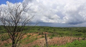 Inmet alerta para risco de chuvas intensas em 104 municípios do Ceará