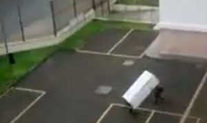 Dupla invade igreja e é presa pela PM quando tentava furtar geladeira