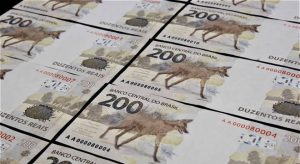 Lobo-guará empaca e só 12,7% das cédulas de R$ 200 previstas entram em circulação no Brasil