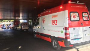 Menina de 3 anos tem rosto desfigurado após ser atacada por cachorro pitbull