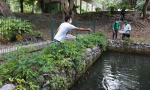 Estudante cearense desenvolve projeto para reduzir a poluição em rios e lagos
