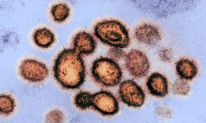 Viajantes de áreas com nova variante de coronavírus devem fazer quarentena de 14 dias, orienta Sesa