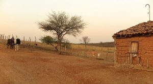 Ceará tem maior área em situação de seca desde dezembro de 2019