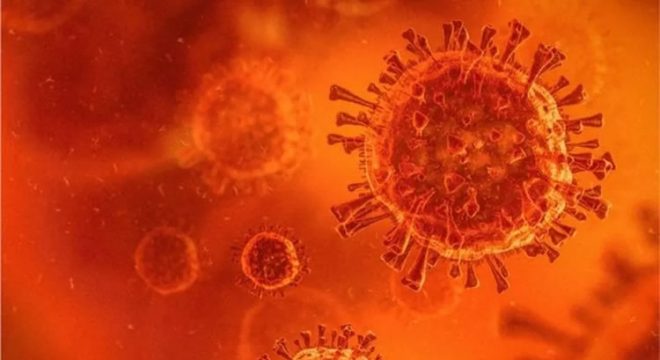 70% dos casos de nova cepa do coronavírus no Ceará são de variantes não detectadas na 1ª onda