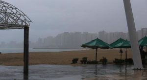 Ceará registra chuva em, pelo menos, 63 municípios até a manhã desta segunda-feira (29)