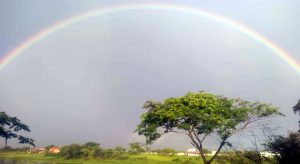 Ceará registra chuva em todas as regiões nesta terça (23)