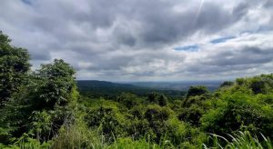 MPCE considera inconstitucional Lei Municipal que permite intervenções na Zona Especial Ambiental Rio Batateiras, em Crato