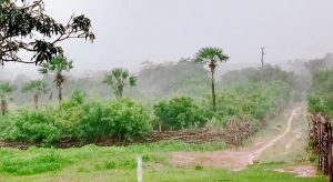 Balanço preliminar da Funceme aponta chuva em 71 municípios do Ceará
