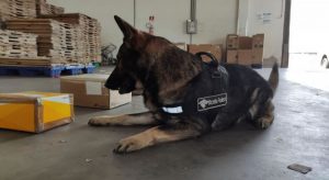 Receita Federal detecta ouro em lâmina e drogas em encomendas enviadas pelos Correios