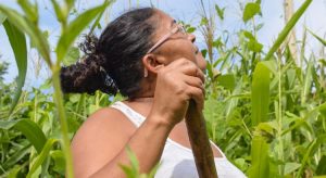 Ceará tem maior parte do território com chuvas abaixo da média no trimestre fevereiro a abril