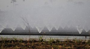 Agricultura lança programa para financiar irrigação no Nordeste