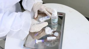 MPCE quer plano de ação para prevenção e combate à Covid-19 em farmácias do Ceará