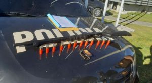 Justiça solta 13 acusados de integrar organização criminosa atuante em Saboeiro