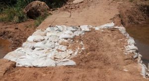 Sem ação do poder público moradores improvisam ponte em Barbalha