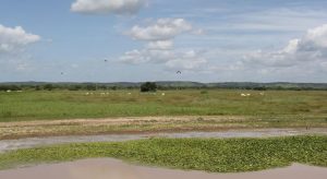 Três cidades do Ceará registram temperaturas mais altas do país nesta sexta-feira (9)