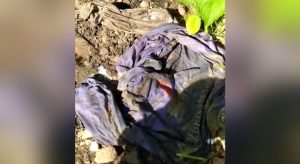 Ossada humana é encontrada em matagal próximo de cemitério de Orós