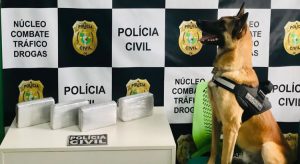 Com ajuda de cão farejador Polícia Civil apreende mais de 4 Kg de cocaína em Crato