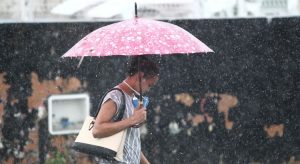 Sem chuvas há uma semana, Cariri já atingiu média da quadra chuvosa