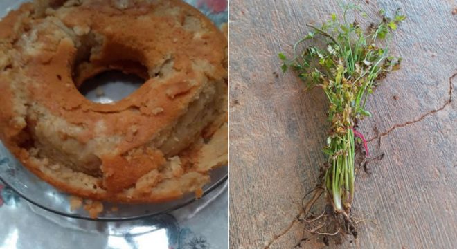 Alunos de Granjeiro recebem kits de merenda escolar com alimentos danificados