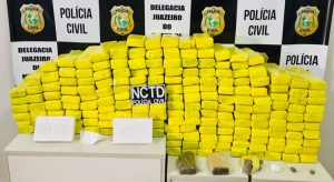 E atenção! Polícia Civil de Juazeiro apreende volume recorde de drogas em Crato