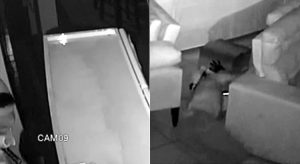 Veja flagrante de furto em loja no Juazeiro quando levaram 70 celulares