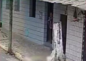 Idosa é detida após ser flagrada agredindo e matando filhotes de gatos