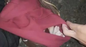 Bebê jogado em matagal dentro de mochila em São Paulo chora e é resgatado