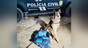 Garota é presa na rodoviária de Crato após cão da Polícia Civil farejar sua droga