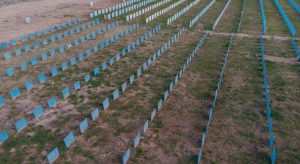 Brasil ultrapassa a marca de 500 mil mortes por Covid-19