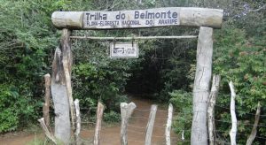 Floresta Nacional do Araripe comemora 75 anos de criação