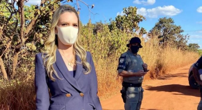 Repórter do SBT leva mordida de pitbull durante apuração do caso Lázaro