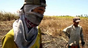 Crianças e adolescentes são resgatados de trabalho degradante no Ceará