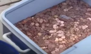 Pai joga 80 mil moedas de um centavo no quintal da casa da ex-mulher