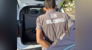 Filho acusado de matar a mãe a pedradas em Fortaleza é denunciado pelo Ministério Público