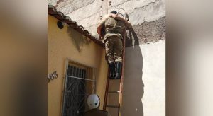 Jovem sobe em telhado para resgatar gato, mas precisa de ajuda dos bombeiros para descer, no Ceará